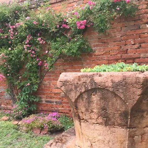 Apartment Garden Houses