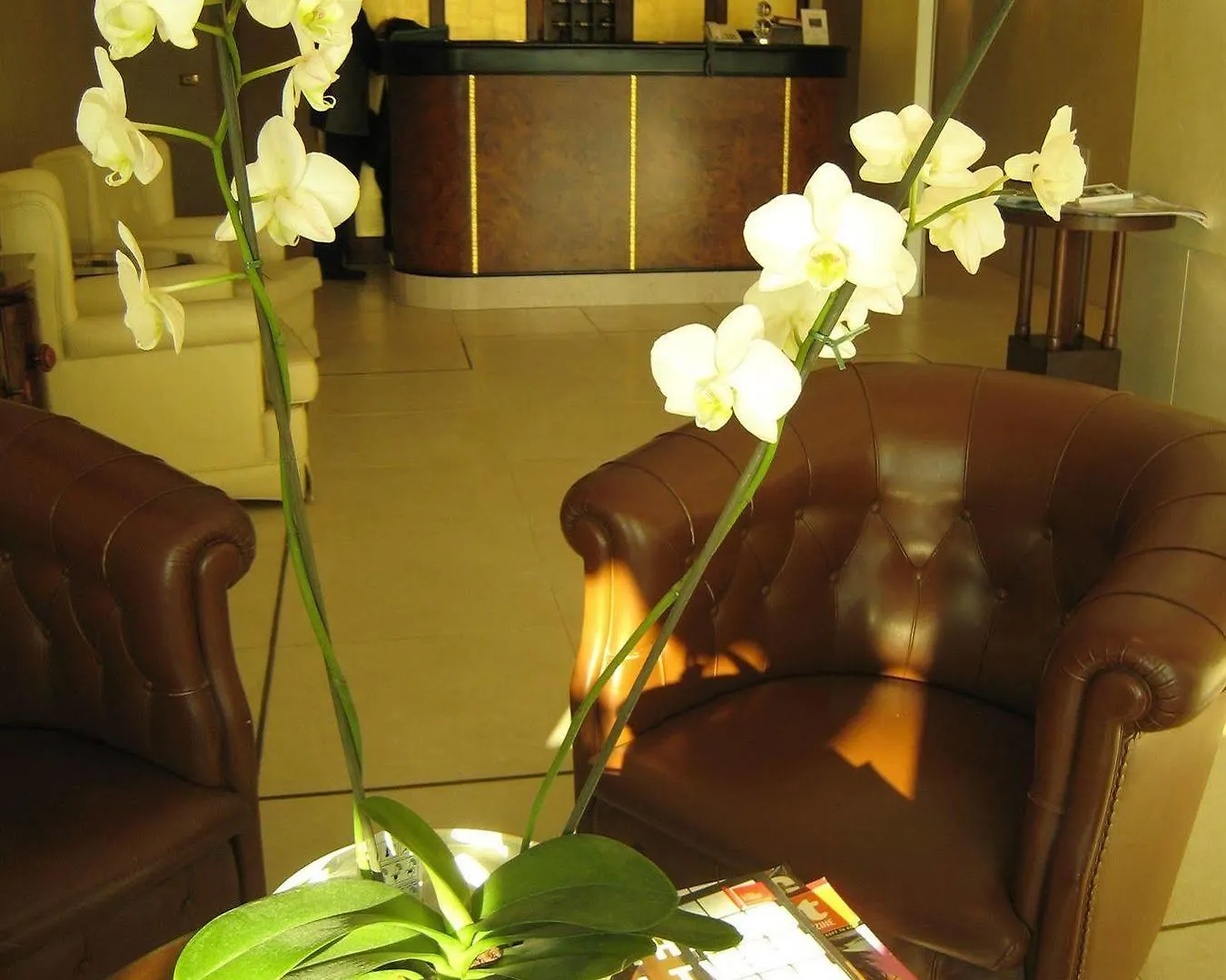 Hotel Paganelli Venedig